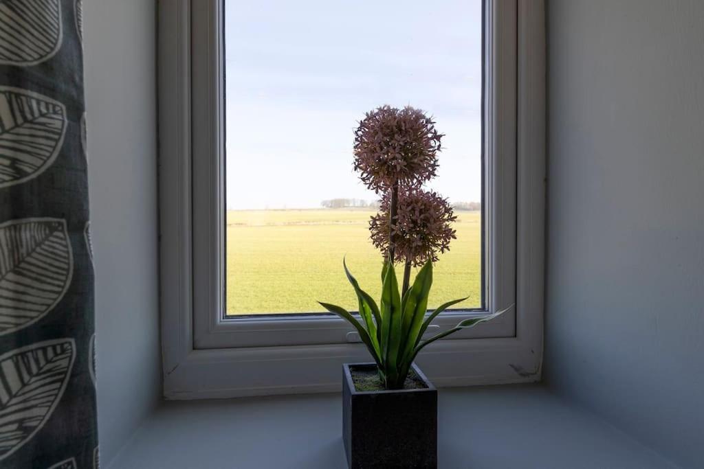 Auckland View - A Comfy & Spacious 4Bed With Views Coundon Esterno foto